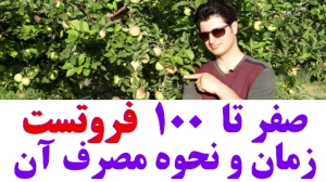 مزایای استفاده از فروتست