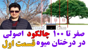 صفر تا صد چالکود درختان میوه