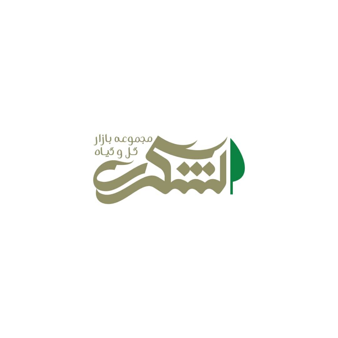 بازار گل و گیاه لشگری